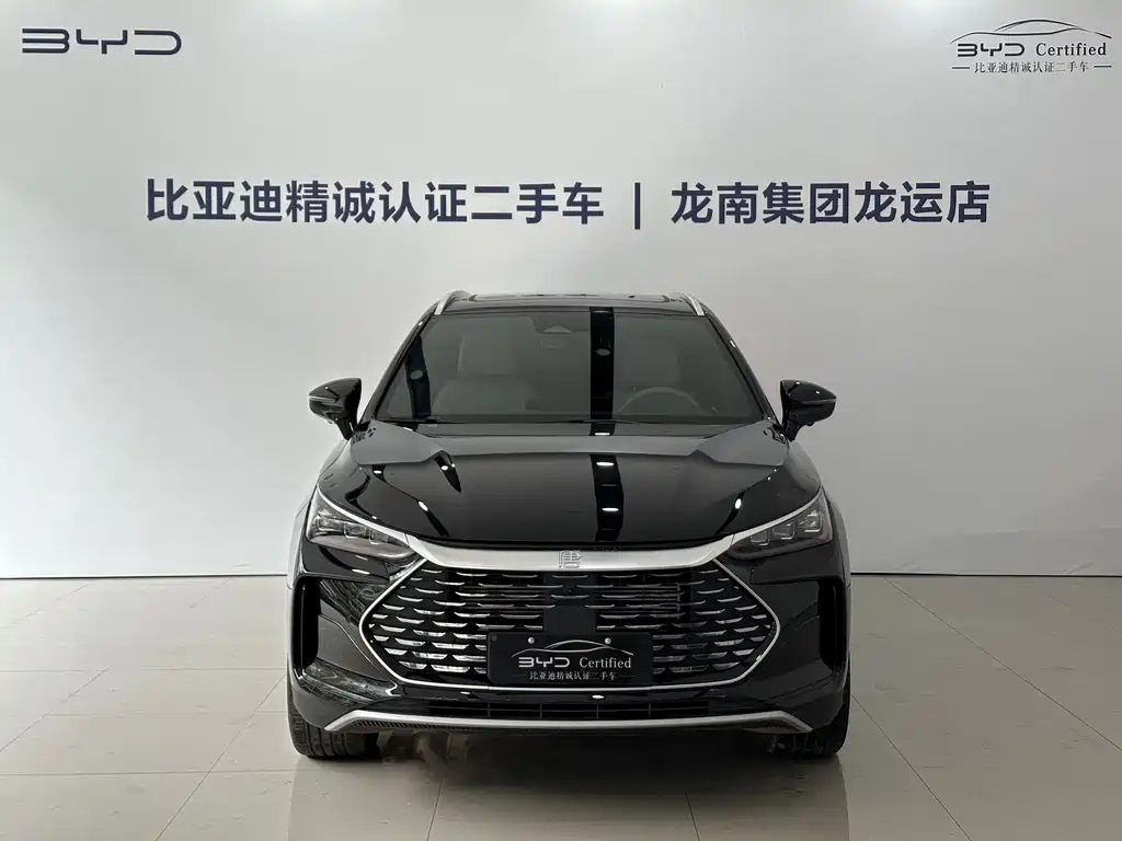BYD TANG NEW ENERGY 2024