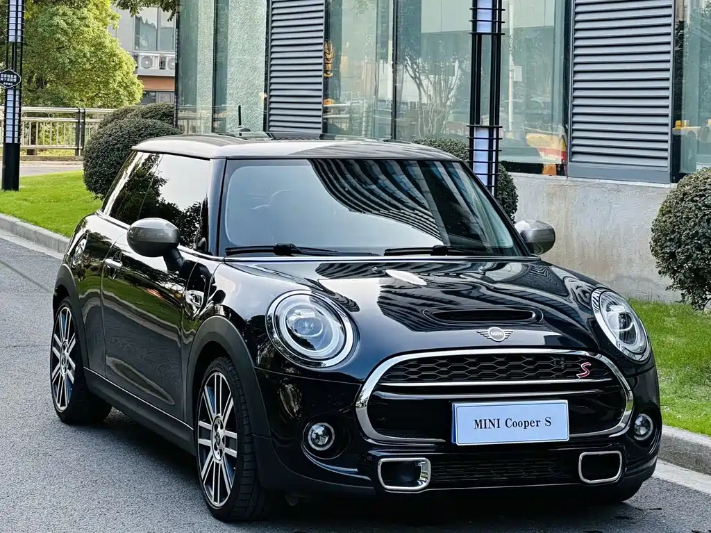 MINI OTHER 2020