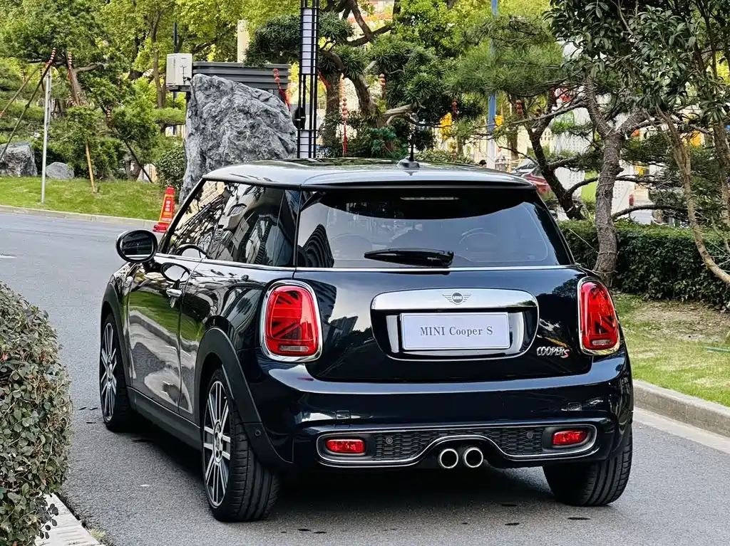 MINI OTHER 2020