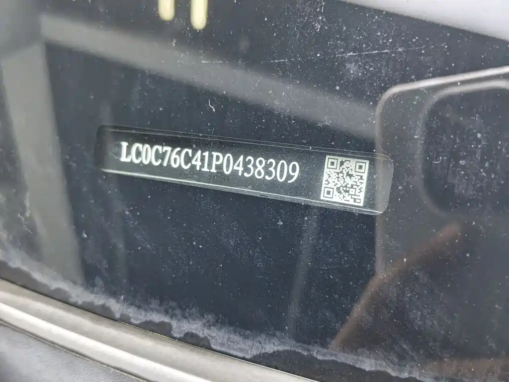 BYD DESTROYER 05 2023