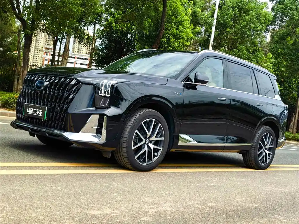 Аукционный лист TRUMPCHI ES9 2024