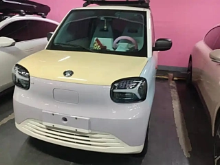 ZD OTHER  2024