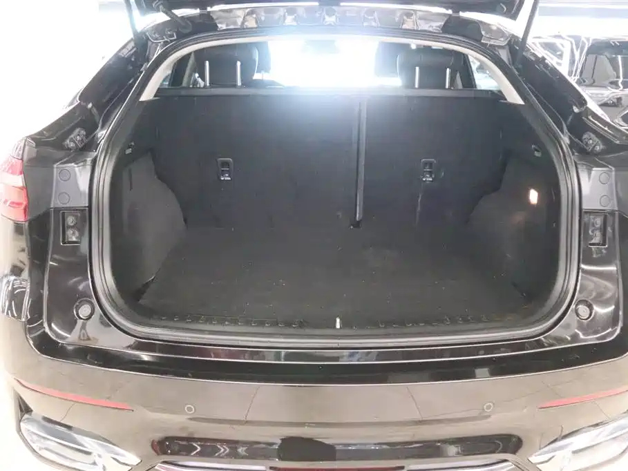HAVAL F7X 2019