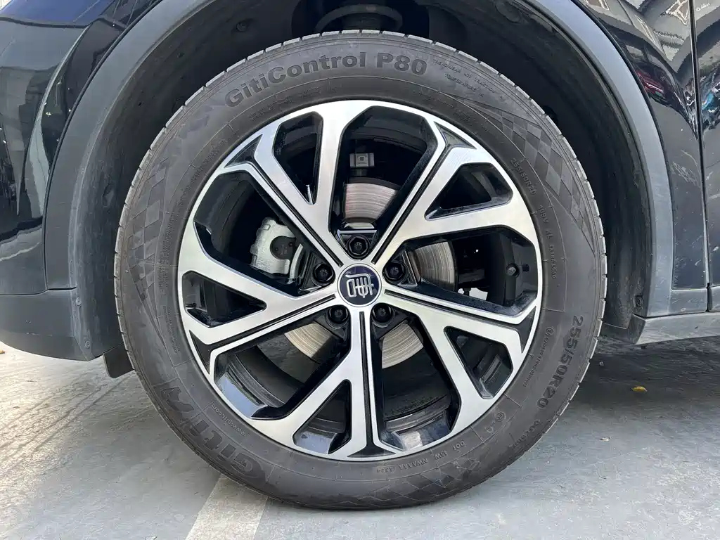 BYD TANG NEW ENERGY 2024