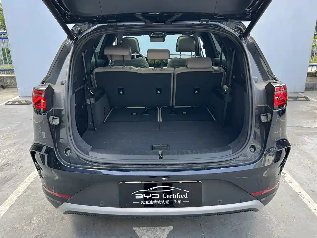 BYD TANG NEW ENERGY 2024