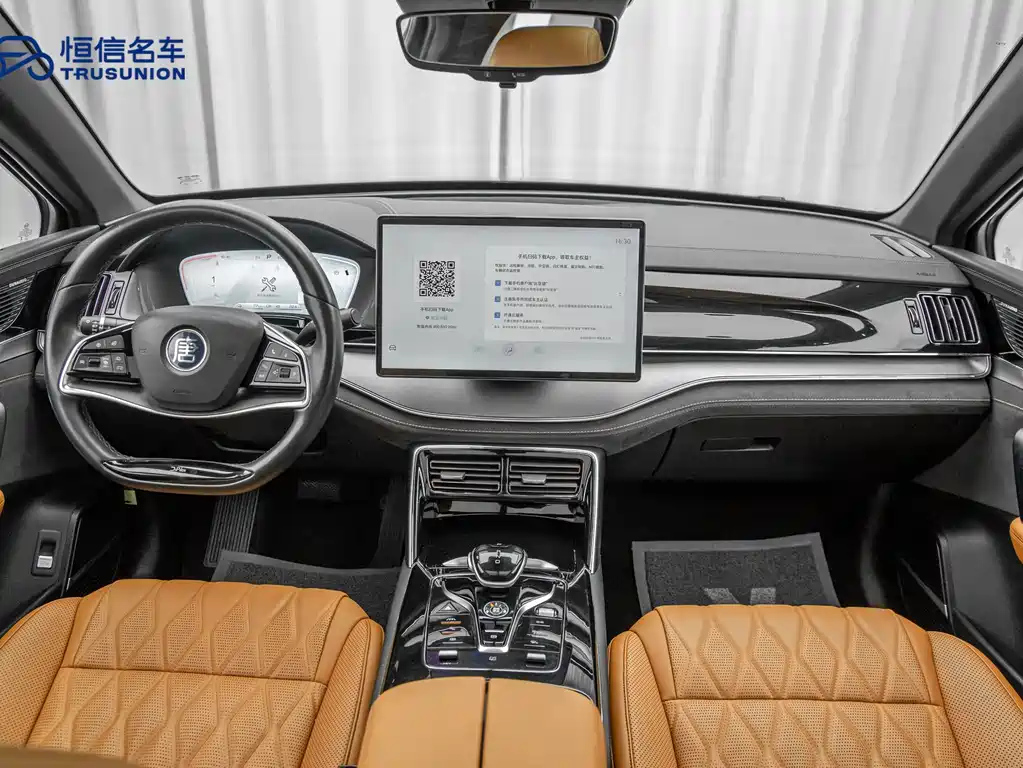 BYD TANG NEW ENERGY 2023