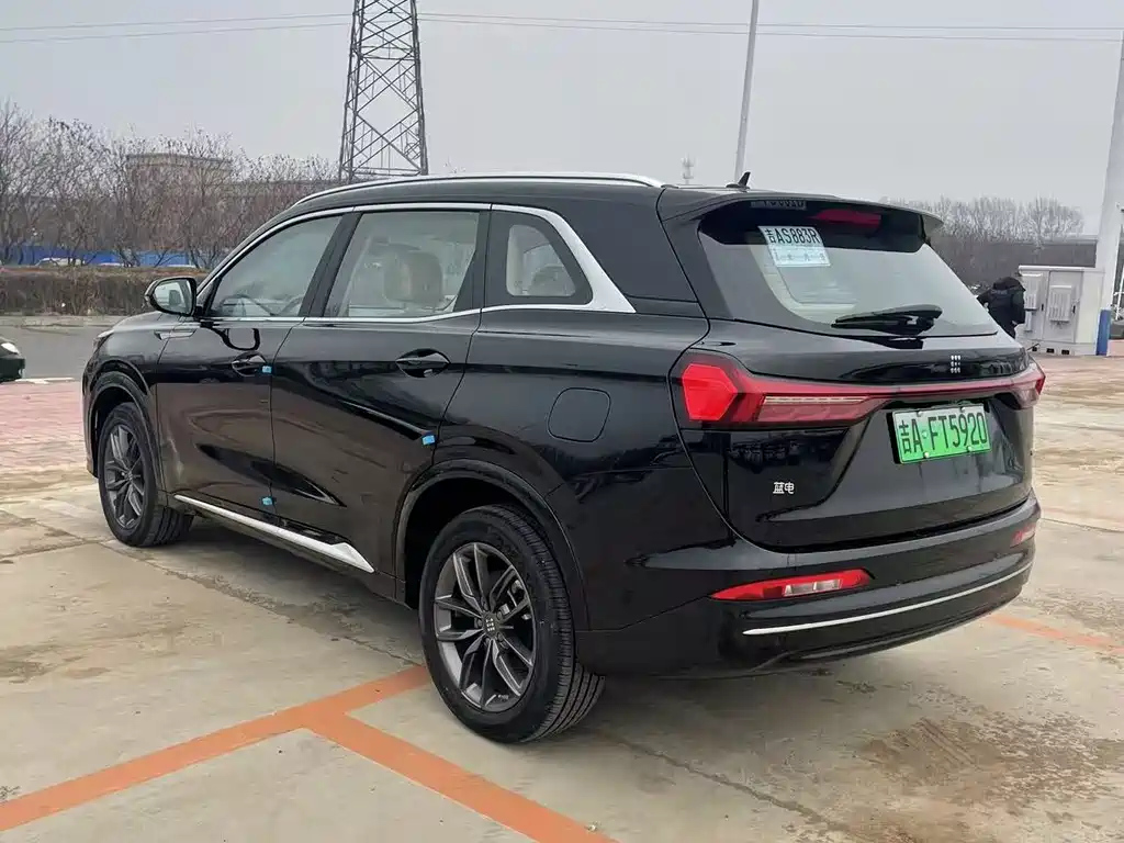 DONGFENG OTHER 2025