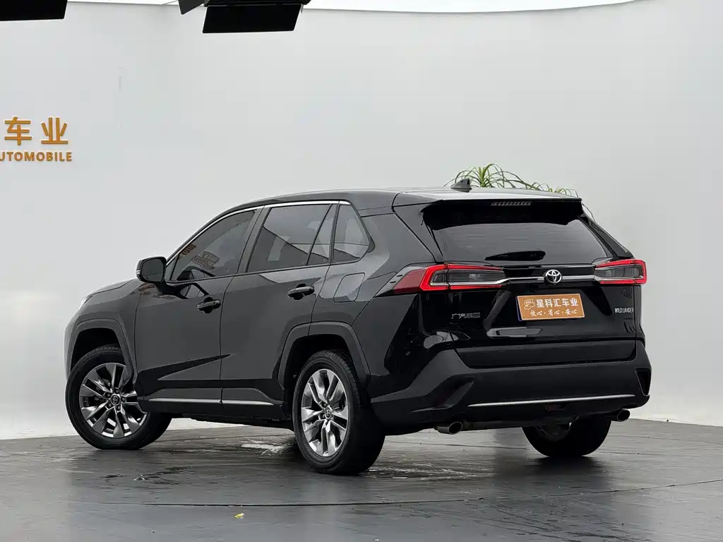 TOYOTA WILDLANDER 2022