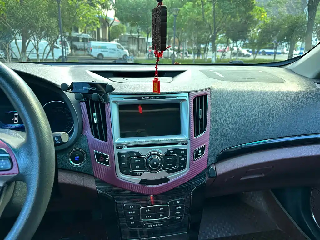 BYD OTHER 2015