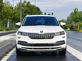SKODA &#26607;&#29662;&#20811;  2022