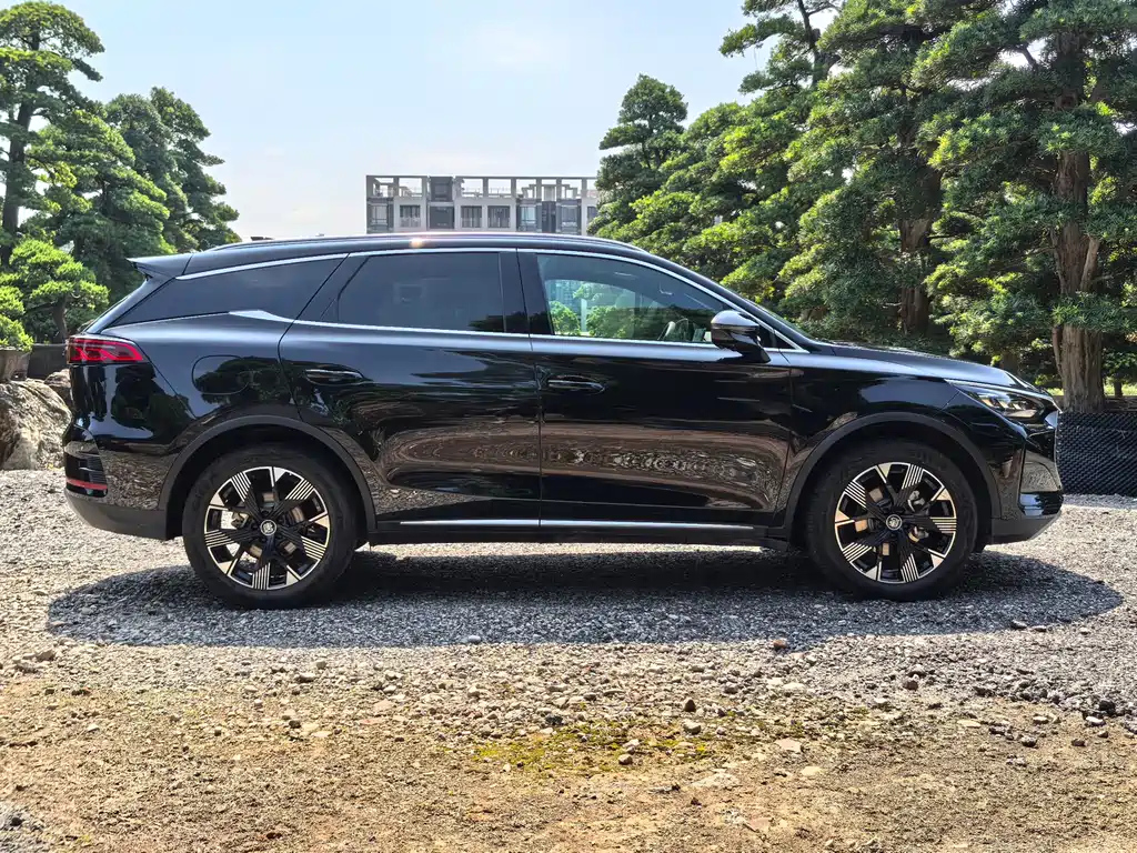 BYD TANG NEW ENERGY 2024