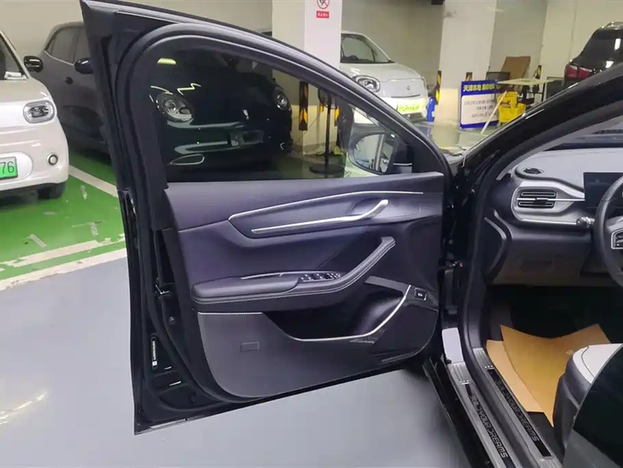 BYD DESTROYER 05 2024