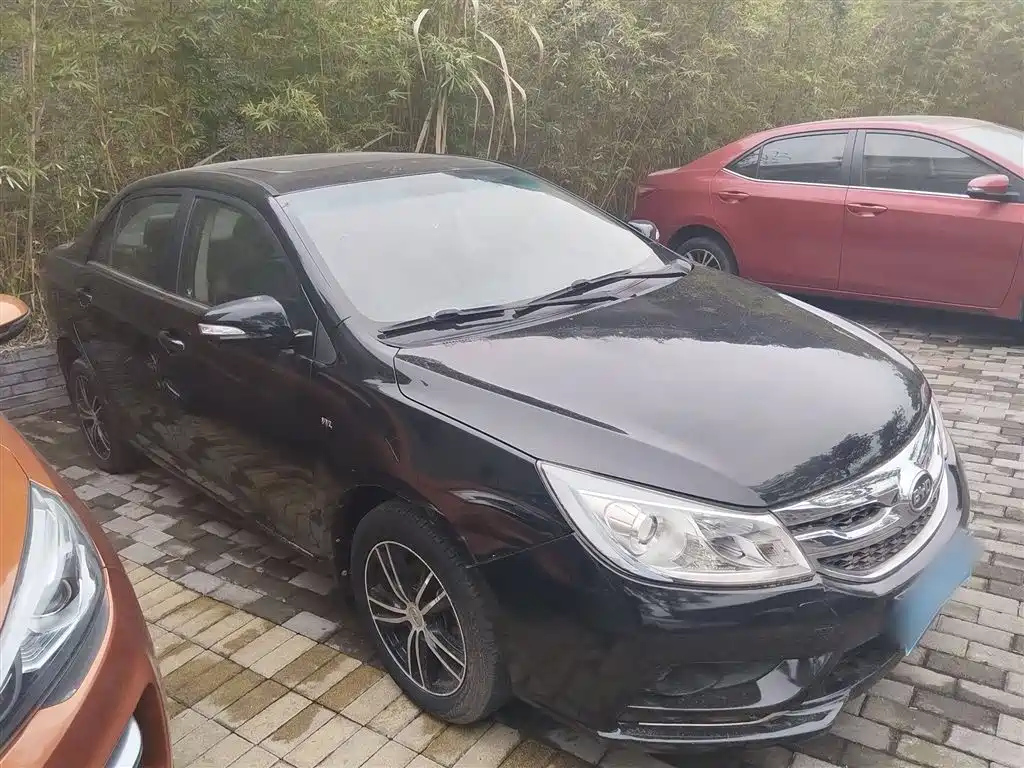 BYD OTHER 2015