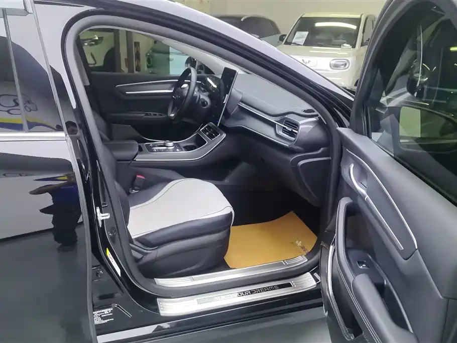 BYD DESTROYER 05 2024