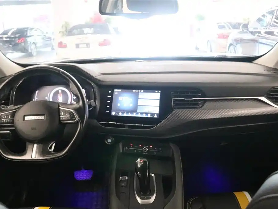 HAVAL F7X 2019