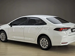 TOYOTA COROLLA  2023