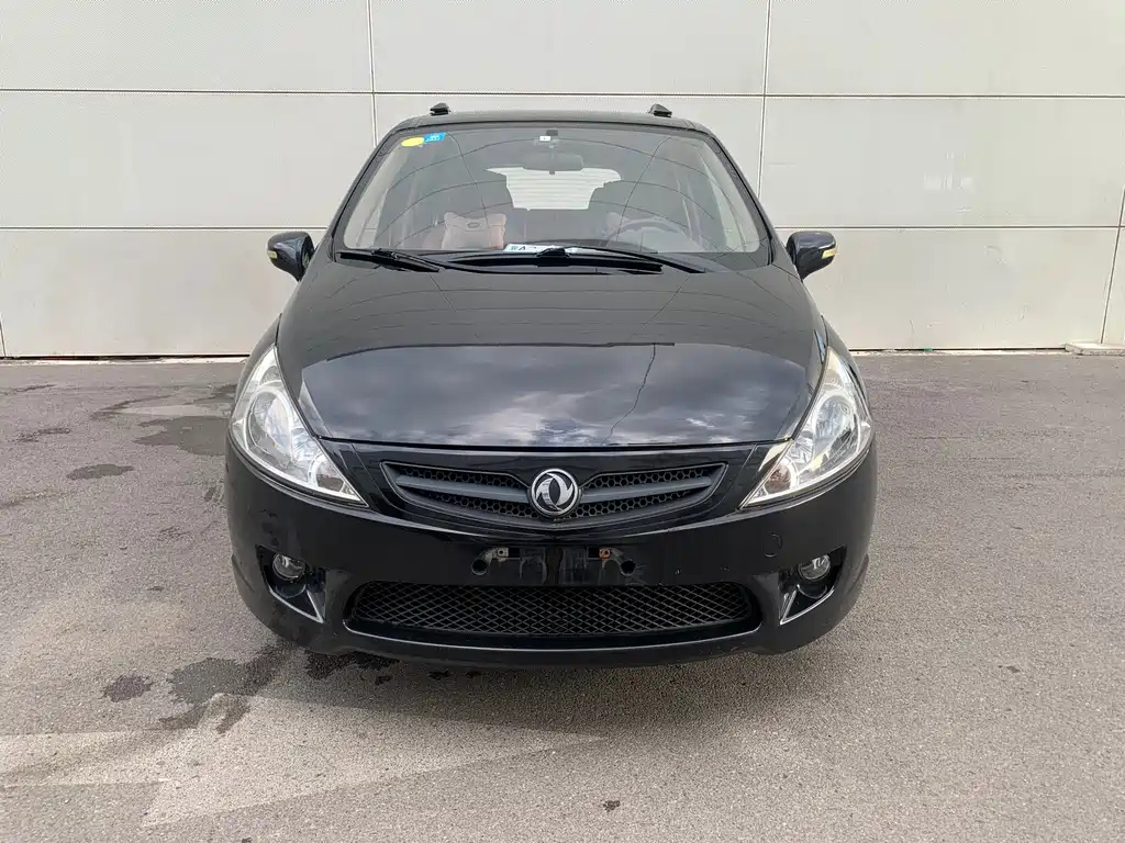 DONGFENG JOYEAR 2012