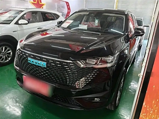 HAVAL H6 NEW ENERGY  2023
