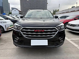 VGV U70 2020