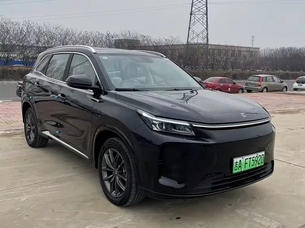 DONGFENG OTHER 2025