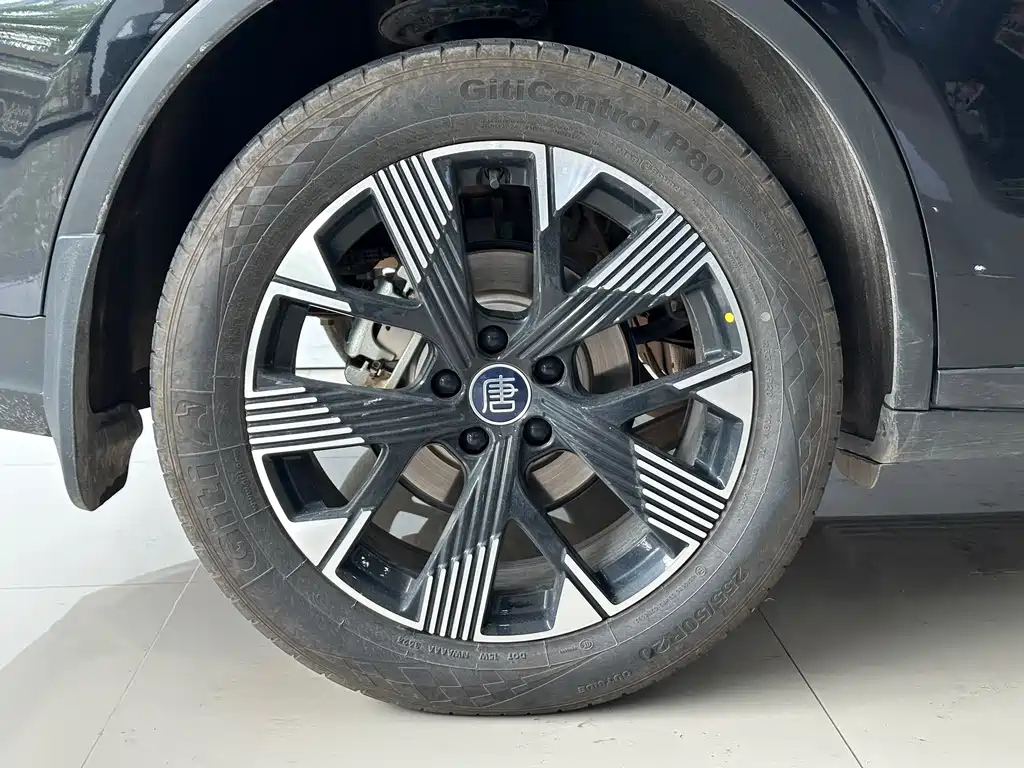 BYD TANG NEW ENERGY 2024