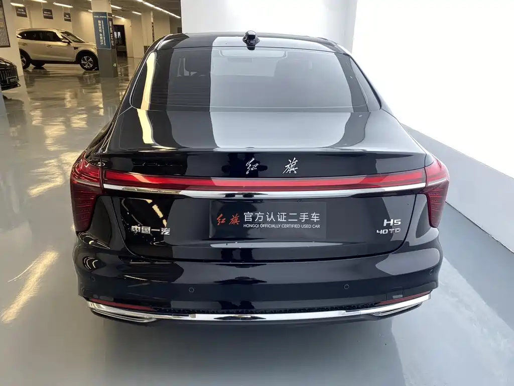 HONGQI H5 2024