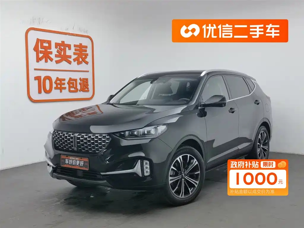 Аукционный лист WEY VV6 2020