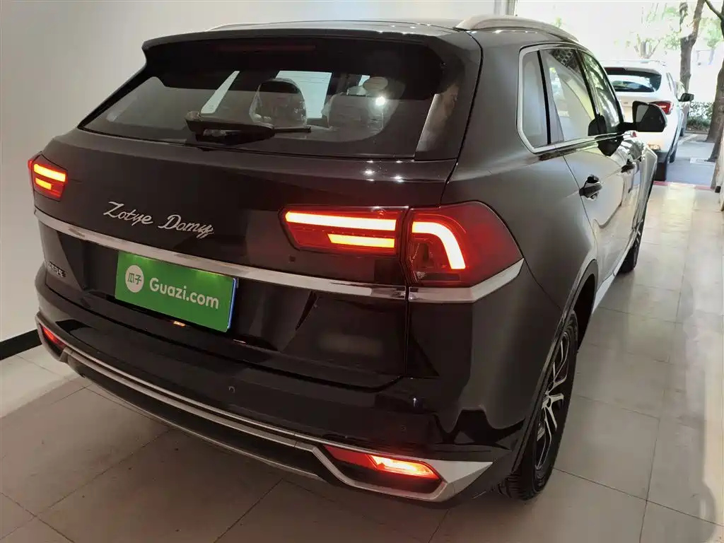 ZOTYE BIG 迈X7 2019