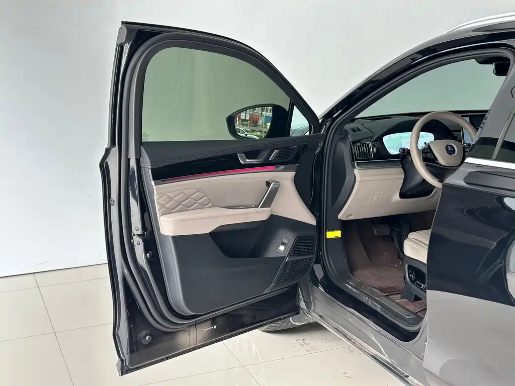 BYD TANG NEW ENERGY 2024