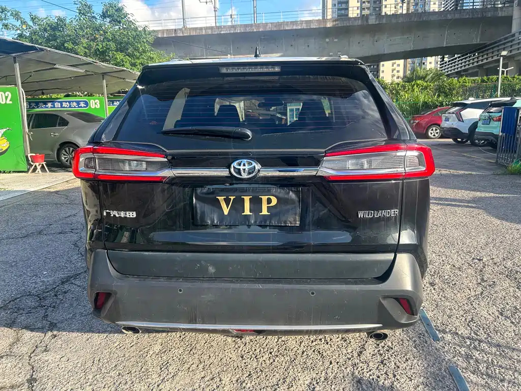 TOYOTA WILDLANDER 2024