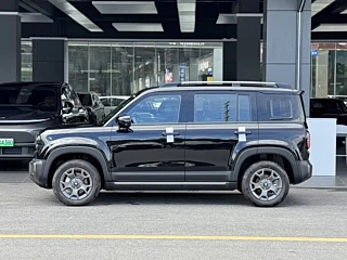 Заказать BAO JUN YUEYE PLUS