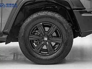 TANK 300 2021 YEAR EDITION 2.0T 2021