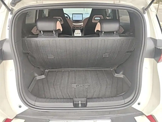 BYD SEAGULL  2025 YEAR 305KM FREEDOM EDITION 2025
