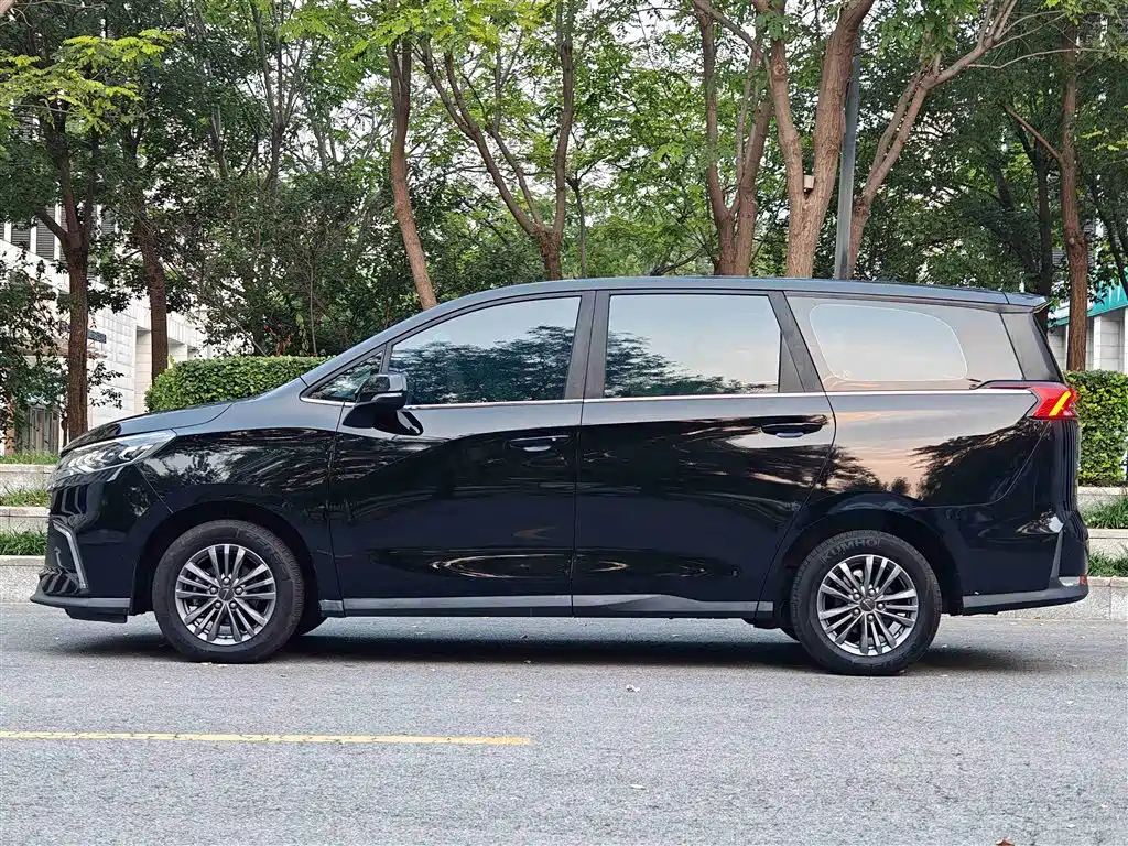 MAXUS OTHER 2019