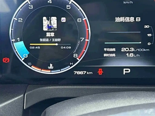 TANK 300  2023 YEAR  EDITION 2.0T 2023