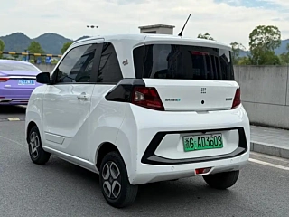 DONGFENG SCENERY MINIEV 2022 YEAR YEAR 2022