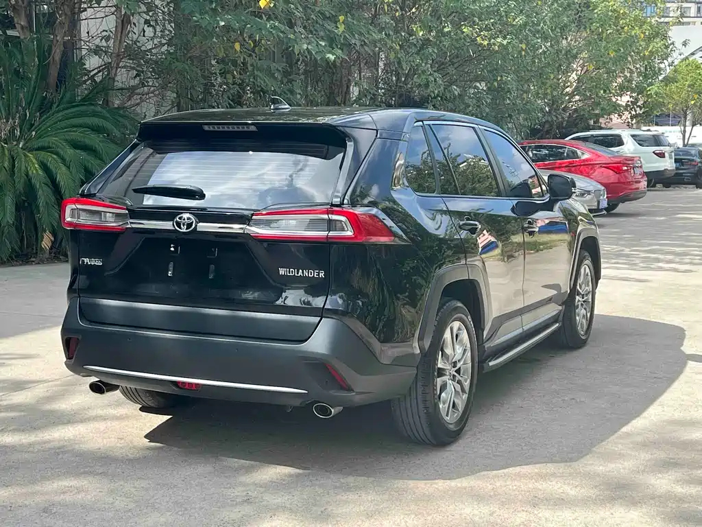 TOYOTA WILDLANDER 2022