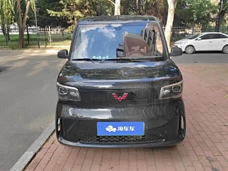 SGMW WULING LIGHT NEW ENERGY  2025
