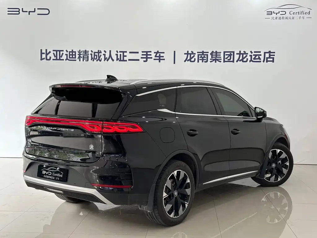 BYD TANG NEW ENERGY 2024