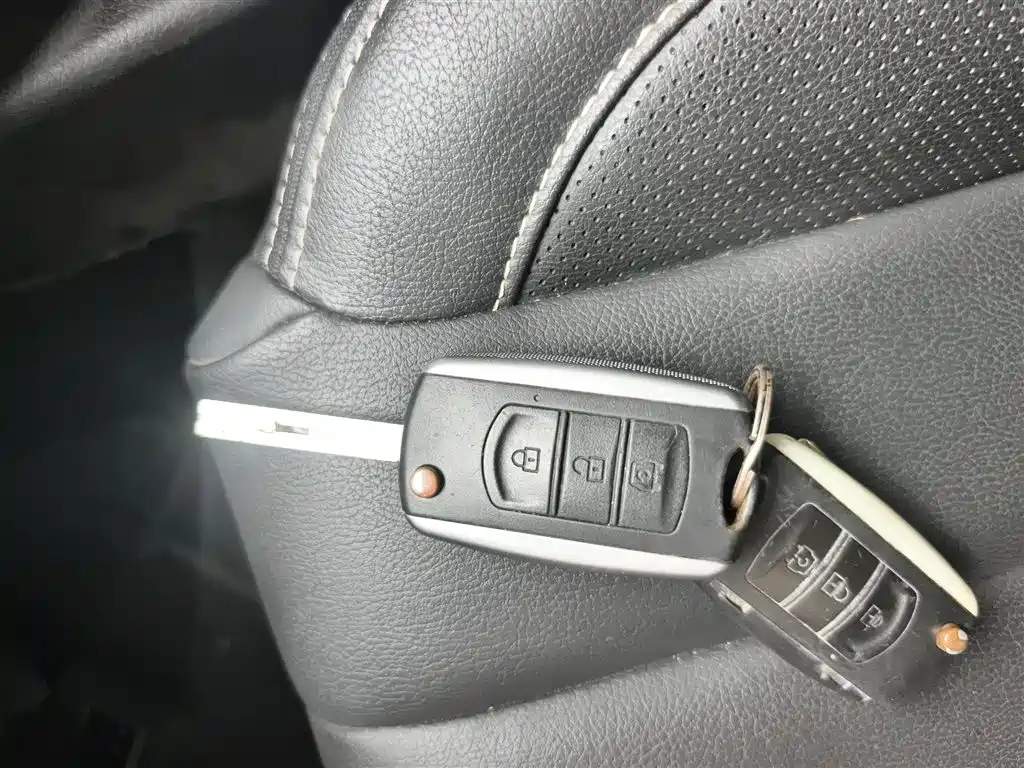 DONGFENG SCENERY 580 2020