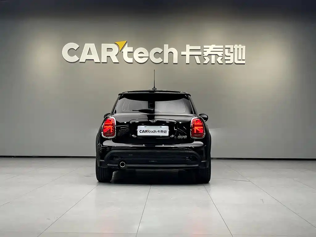 MINI OTHER 2021