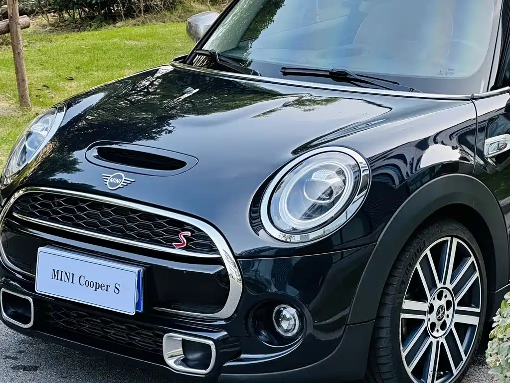 MINI OTHER 2020