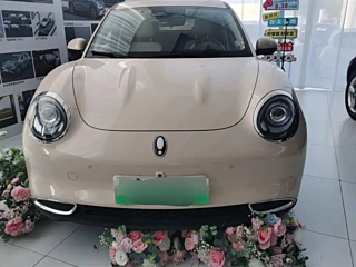 Заказать ORA GOOD CAT GT