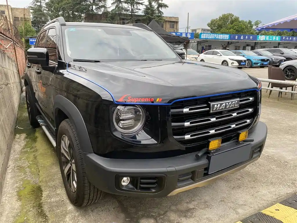 HAVAL BIG DOG 2020