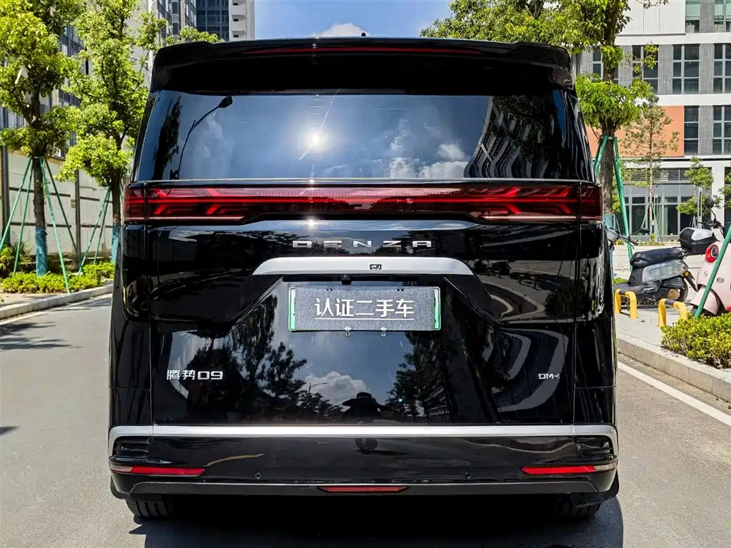 DENZA D9 2024