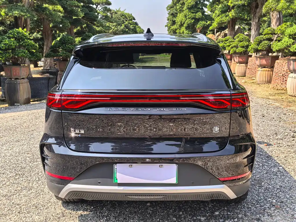 BYD TANG NEW ENERGY 2024
