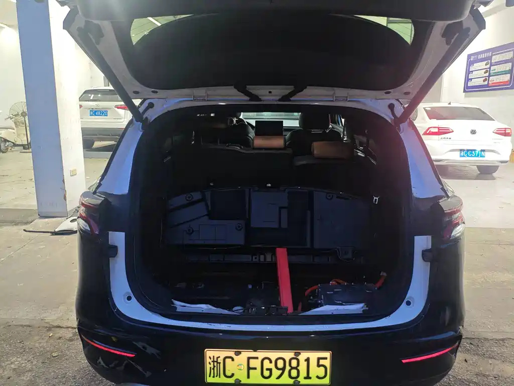 BYD TANG NEW ENERGY 2021