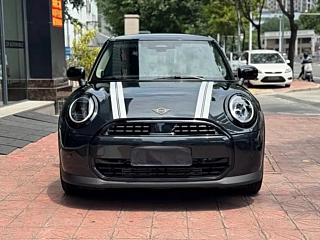 MINI OTHER 2025