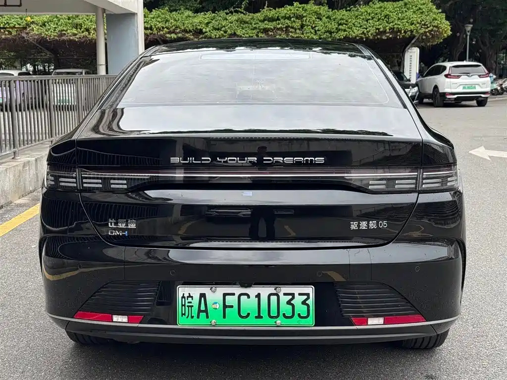 BYD DESTROYER 05 2024