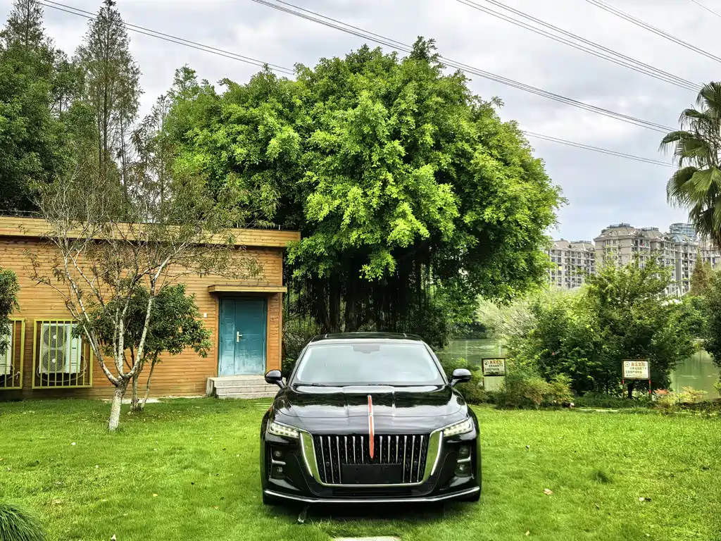 HONGQI H5 2024